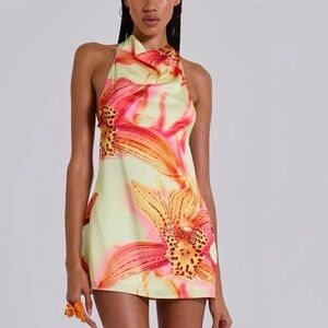 Jaded London Floral Halter Neck Dress